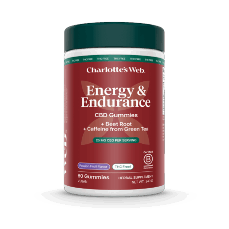 ENERGY & ENDURANCE GUMMY 25MG  - Passion Fruit flavor, 60 gummies.
